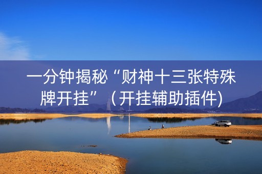 一分钟揭秘“财神十三张特殊牌开挂”（开挂辅助插件)