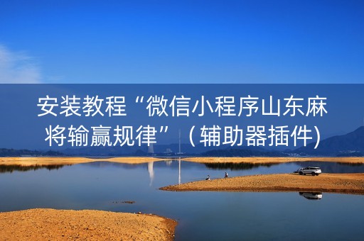 安装教程“微信小程序山东麻将输赢规律”（辅助器插件)