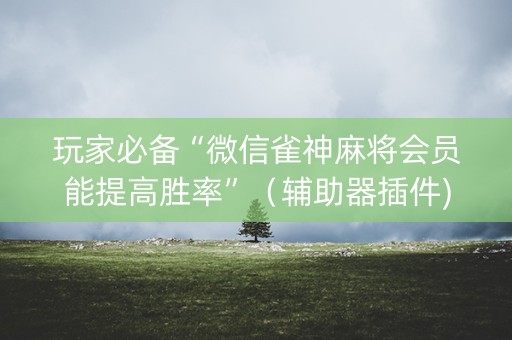 玩家必备“微信雀神麻将会员能提高胜率”（辅助器插件)