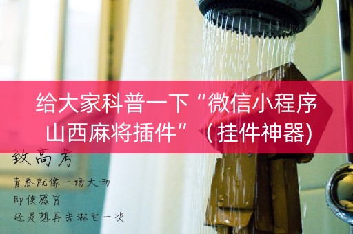 给大家科普一下“微信小程序山西麻将插件”（挂件神器)