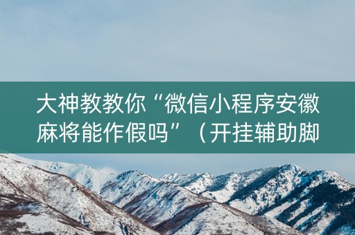大神教教你“微信小程序安徽麻将能作假吗”（开挂辅助脚本)