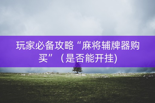 玩家必备攻略“麻将辅牌器购买”（是否能开挂)
