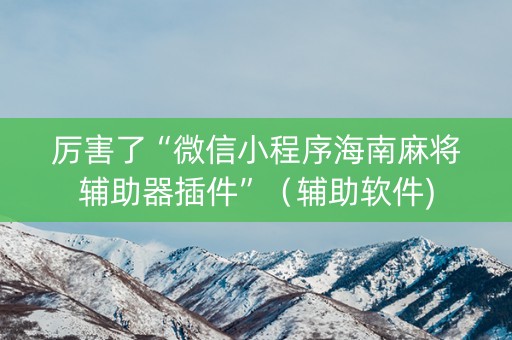 厉害了“微信小程序海南麻将辅助器插件”（辅助软件)