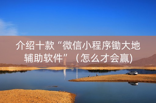介绍十款“微信小程序锄大地辅助软件”（怎么才会赢)