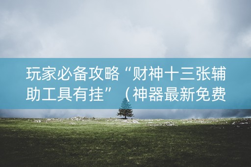 玩家必备攻略“财神十三张辅助工具有挂”（神器最新免费)