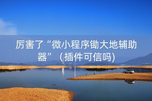 厉害了“微小程序锄大地辅助器”（插件可信吗)