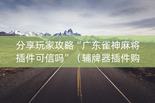 分享玩家攻略“广东雀神麻将插件可信吗”（辅牌器插件购买)