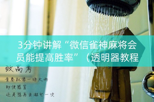 3分钟讲解“微信雀神麻将会员能提高胜率”（透明器教程)