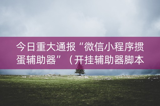 今日重大通报“微信小程序掼蛋辅助器”（开挂辅助器脚本)