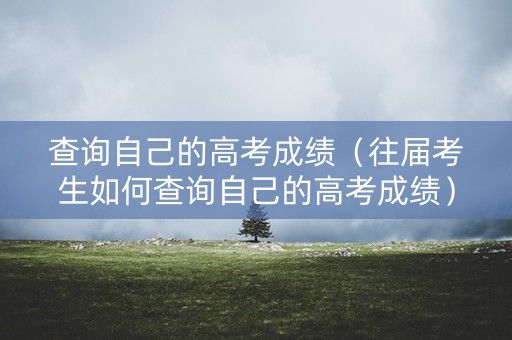 查询自己的高考成绩（往届考生如何查询自己的高考成绩）