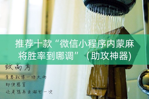推荐十款“微信小程序内蒙麻将胜率到哪调”（助攻神器)