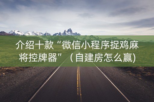 介绍十款“微信小程序捉鸡麻将控牌器”（自建房怎么赢)