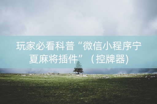 玩家必看科普“微信小程序宁夏麻将插件”（控牌器)
