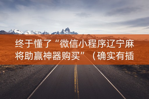 终于懂了“微信小程序辽宁麻将助赢神器购买”（确实有插件吗)