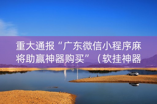 重大通报“广东微信小程序麻将助赢神器购买”（软挂神器)