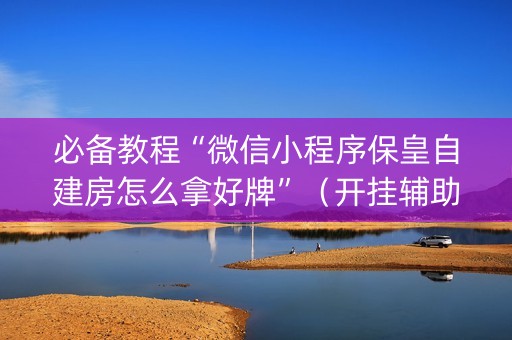 必备教程“微信小程序保皇自建房怎么拿好牌”（开挂辅助脚本)