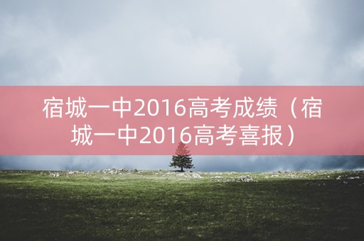 宿城一中2016高考成绩（宿城一中2016高考喜报）