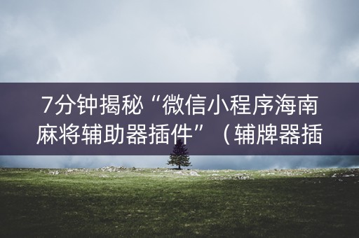 7分钟揭秘“微信小程序海南麻将辅助器插件”（辅牌器插件购买)