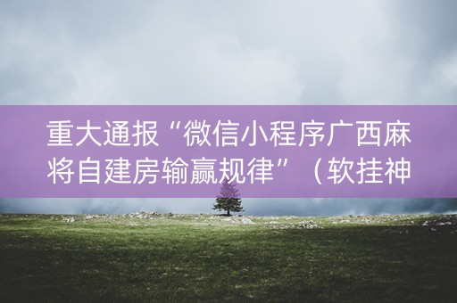 重大通报“微信小程序广西麻将自建房输赢规律”（软挂神器)