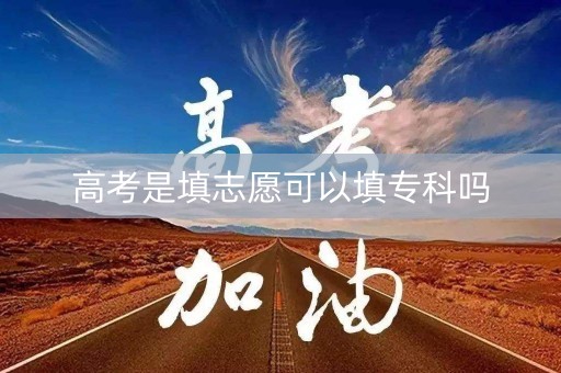 高考是填志愿可以填专科吗