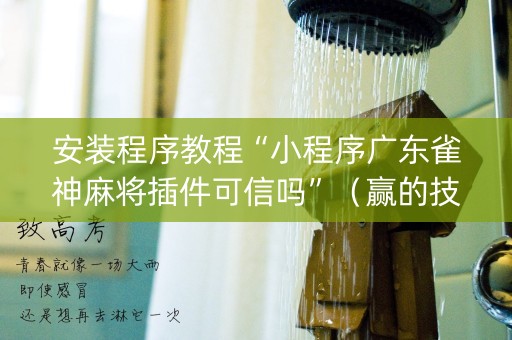安装程序教程“小程序广东雀神麻将插件可信吗”（赢的技巧规律)