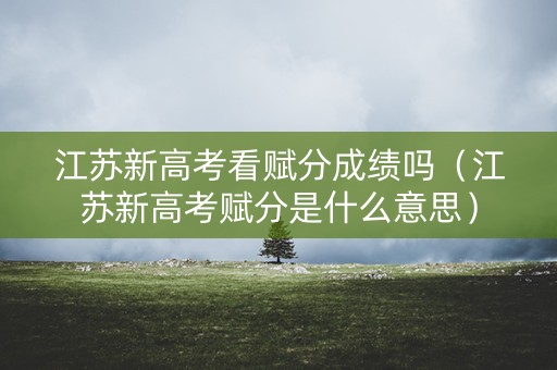 江苏新高考看赋分成绩吗（江苏新高考赋分是什么意思）