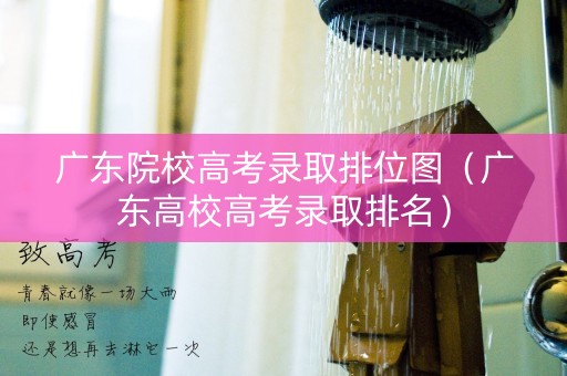广东院校高考录取排位图（广东高校高考录取排名）