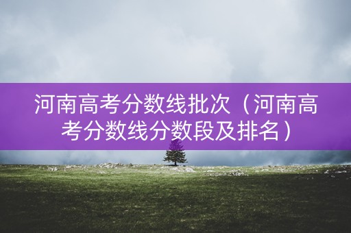 河南高考分数线批次（河南高考分数线分数段及排名）