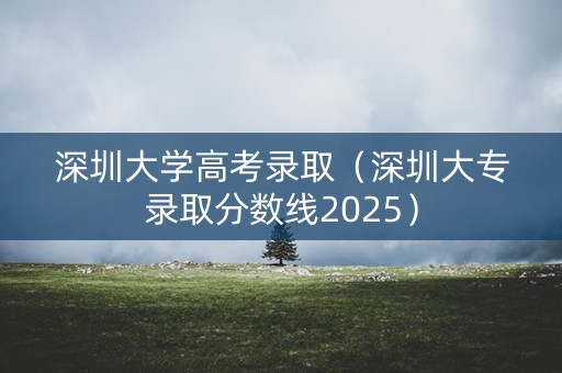 深圳大学高考录取（深圳大专录取分数线2025）