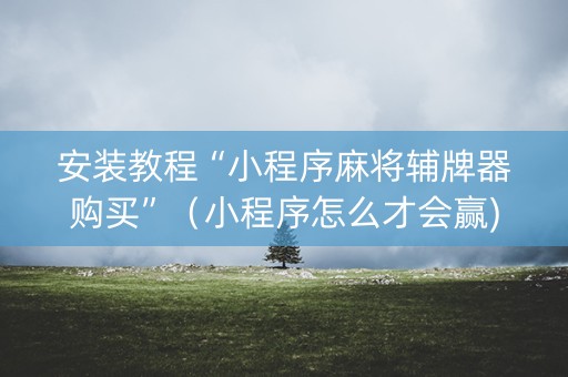 安装教程“小程序麻将辅牌器购买”（小程序怎么才会赢)