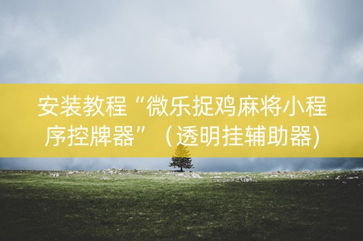 安装教程“微乐捉鸡麻将小程序控牌器”（透明挂辅助器)