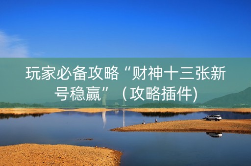 玩家必备攻略“财神十三张新号稳赢”（攻略插件)