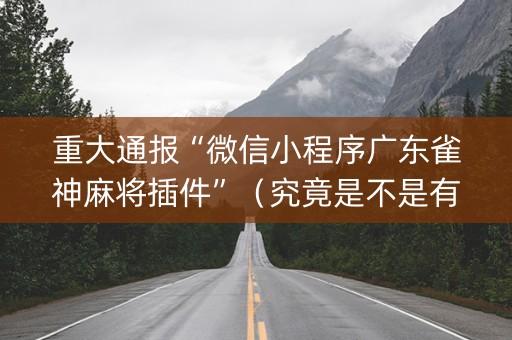 重大通报“微信小程序广东雀神麻将插件”（究竟是不是有挂)