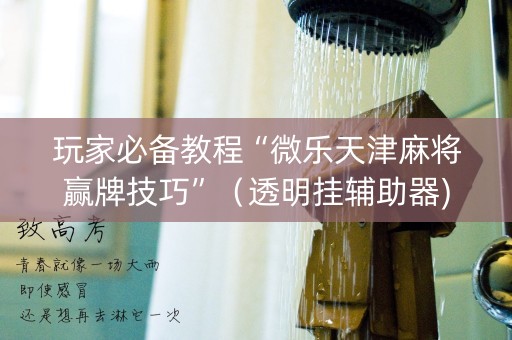 玩家必备教程“微乐天津麻将赢牌技巧”（透明挂辅助器)