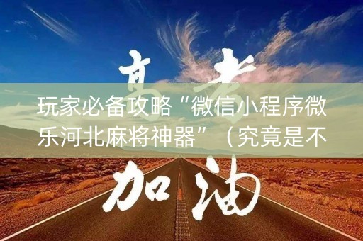 玩家必备攻略“微信小程序微乐河北麻将神器”（究竟是不是有挂)