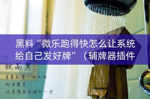 黑料“微乐跑得快怎么让系统给自己发好牌”（辅牌器插件购买)
