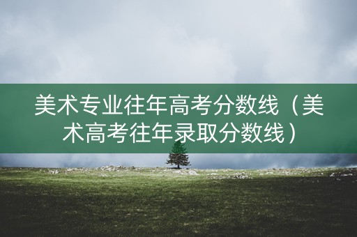 美术专业往年高考分数线（美术高考往年录取分数线）