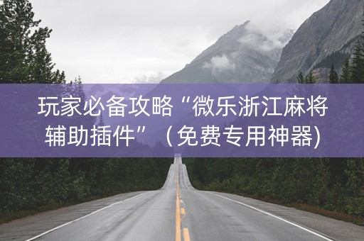 玩家必备攻略“微乐浙江麻将辅助插件”（免费专用神器)