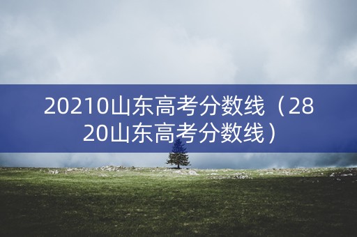 20210山东高考分数线（2820山东高考分数线）