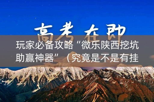玩家必备攻略“微乐陕西挖坑助赢神器”（究竟是不是有挂)