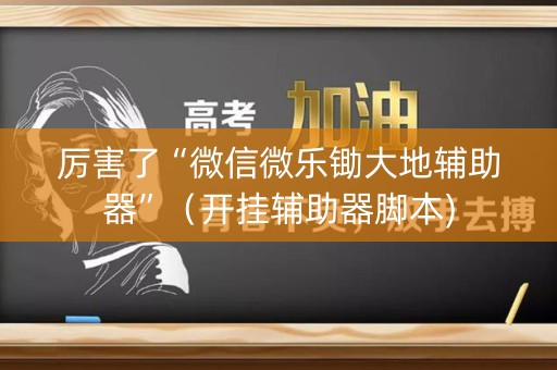 厉害了“微信微乐锄大地辅助器”（开挂辅助器脚本)