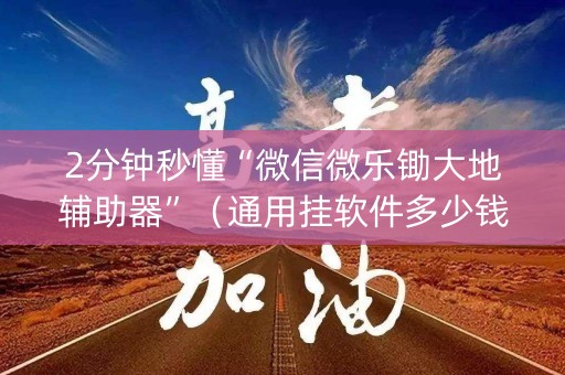2分钟秒懂“微信微乐锄大地辅助器”（通用挂软件多少钱)
