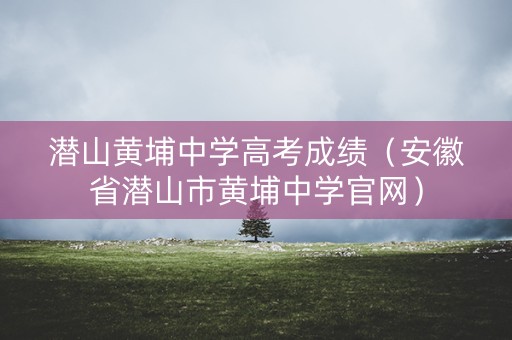 潜山黄埔中学高考成绩（安徽省潜山市黄埔中学官网）