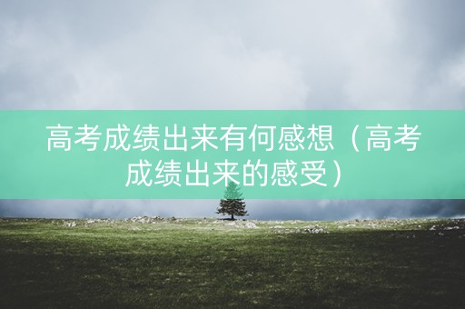 高考成绩出来有何感想（高考成绩出来的感受）