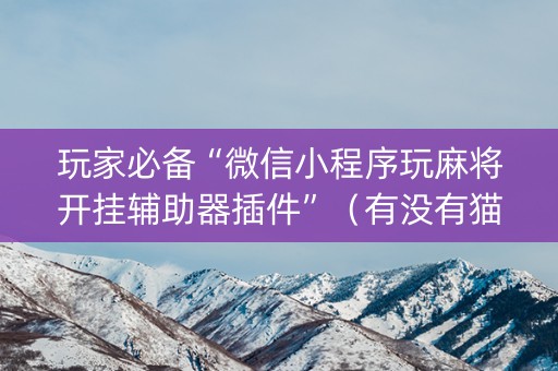 玩家必备“微信小程序玩麻将开挂辅助器插件”（有没有猫腻)