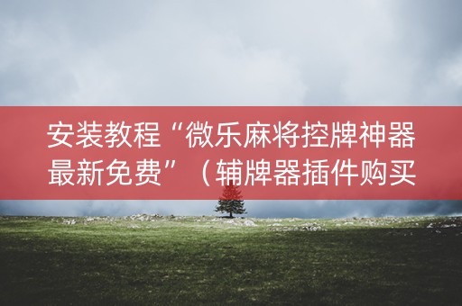 安装教程“微乐麻将控牌神器最新免费”（辅牌器插件购买)
