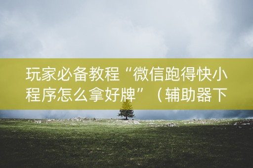 玩家必备教程“微信跑得快小程序怎么拿好牌”（辅助器下载)