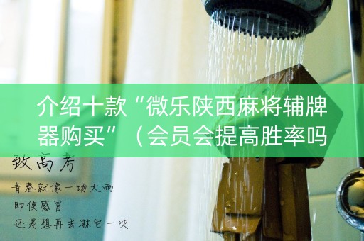 介绍十款“微乐陕西麻将辅牌器购买”（会员会提高胜率吗)