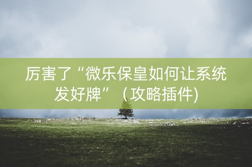 厉害了“微乐保皇如何让系统发好牌”（攻略插件)