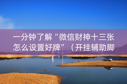 一分钟了解“微信财神十三张怎么设置好牌”（开挂辅助脚本)